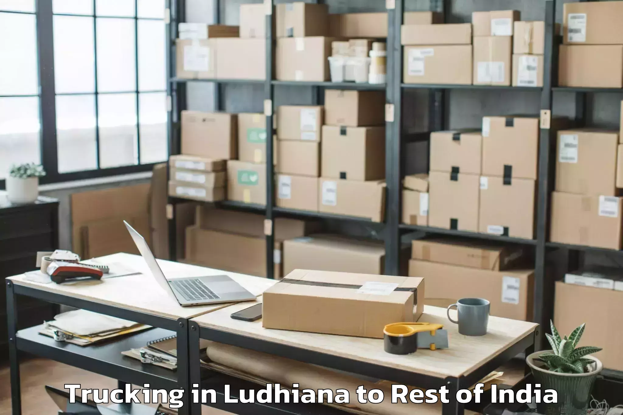 Book Ludhiana to Utnur Trucking Online